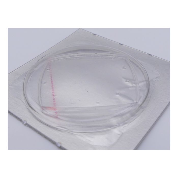 copy ofOmega De Ville verre