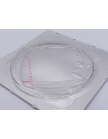 copy ofOmega De Ville verre