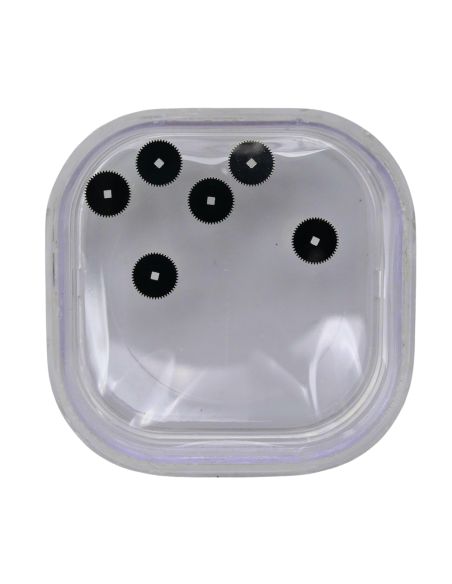 Blancpain 1185 - Cartier 205 - Audemars Piguet 2985 - Rochet (à l'unité) - Ratchet wheel (per unit)