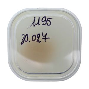 Blancpain 1195 - 30.027 Mobile de petite seconde (à l'unité) - Second wheel (per unit)