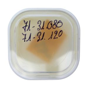 Blancpain 71 - 31.120 Pignon de remontoir (à l'unité) - Winding pinion (per unit)