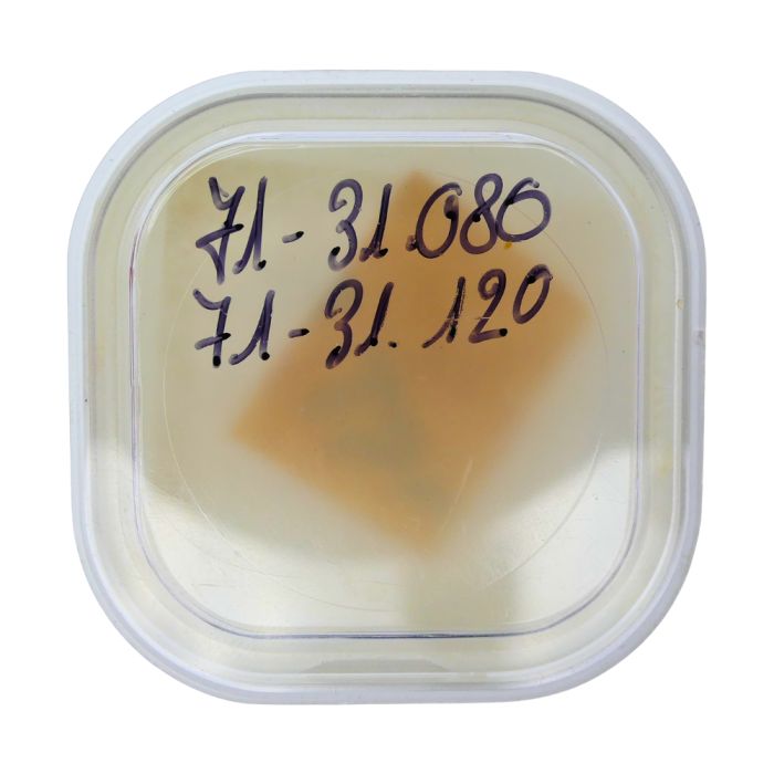 Blancpain 71 - 31.080 Chaussée entraîneuse (à l'unité) - Driver cannon pinion (per unit)