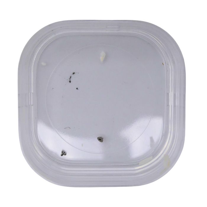 Blancpain 71 - 31.120 Pignon de remontoir (à l'unité) - Winding pinion (per unit)