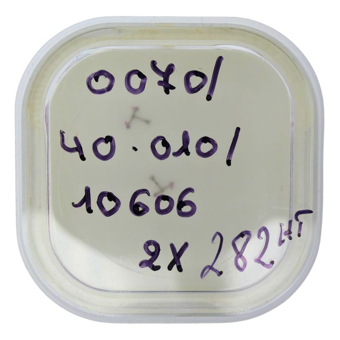 Blancpain 71 - 40.010 Ancre (à l'unité) - Pallet fork (per unit)