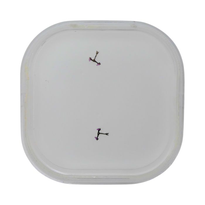 Blancpain 71 - 40.010 Ancre (à l'unité) - Pallet fork (per unit)