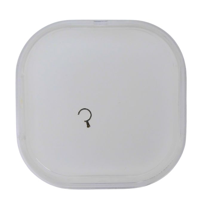 Blancpain 71 - 40.301 Raquette (à l'unité) - Regulator (per unit)