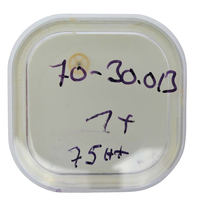 Blancpain 71 - 30.013 Roue intermédiaire (à l'unité) - Intermediate wheel (per unit)