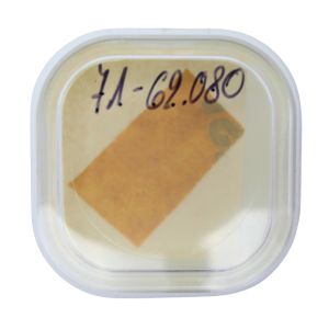 Blancpain 71 - 62.080 Ressort de bascule d'embrayage (à l'unité) - Clutch rocker spring (per unit)