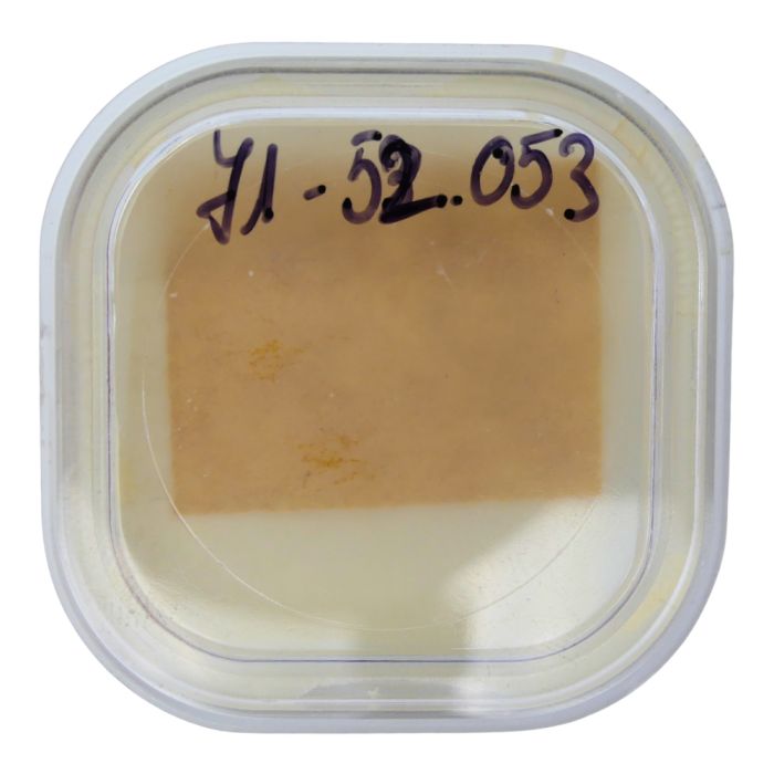 Blancpain 71 - 52.053 Cliquet d'arrêt (à l'unité) - Stop click (per unit)