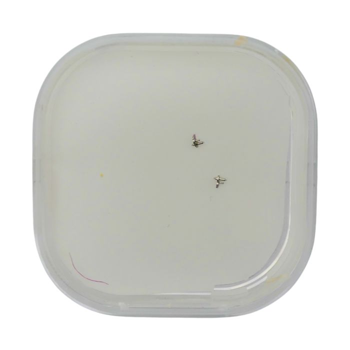 Blancpain 71 - 52.053 Cliquet d'arrêt (à l'unité) - Stop click (per unit)