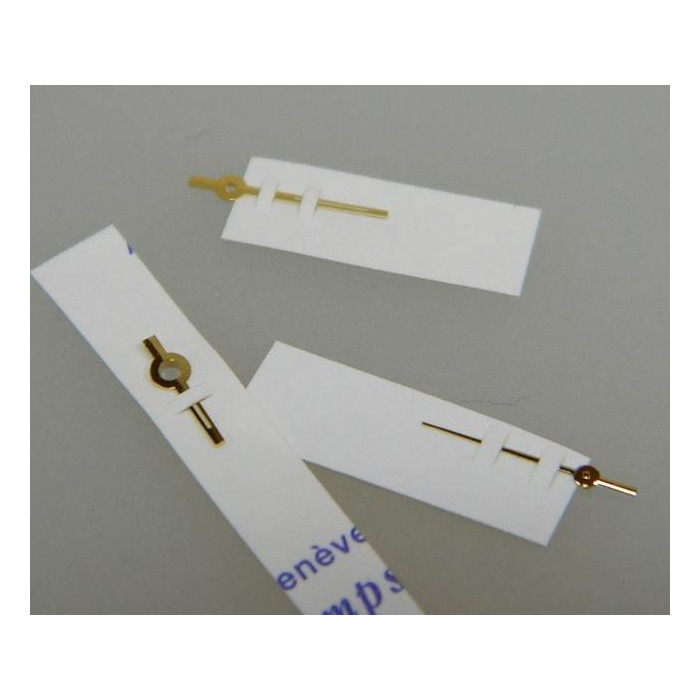 Rolex aiguilles 6917