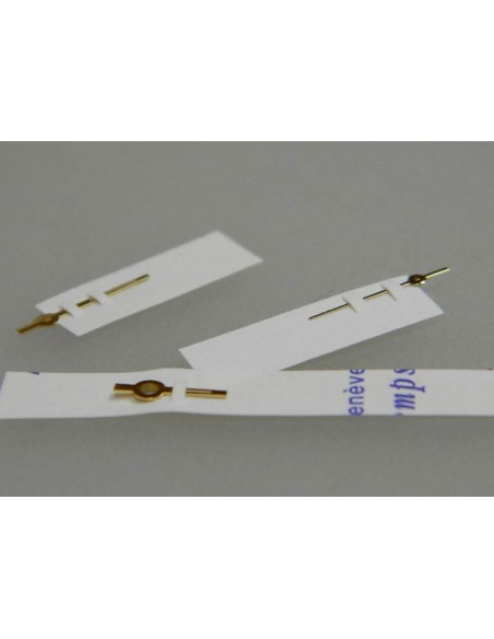 Rolex aiguilles 6917