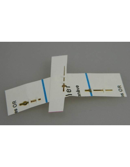 Rolex 6748 aiguilles