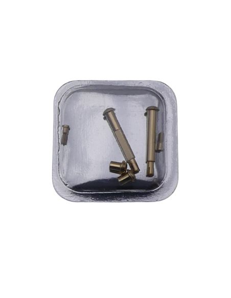 Cartier barrette assemblée - link screw
