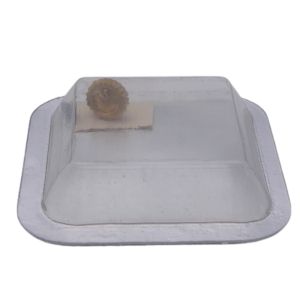 copy ofRolex 702-0 Couronne - Crown