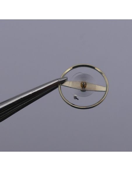 Lip R23 Balancier - Balance