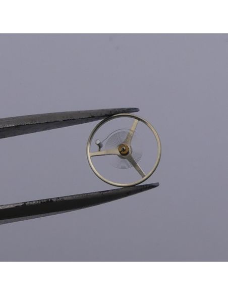 HS P62A - 721 Balancier - Balance