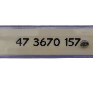 Zenith 473670157 couronne - crown