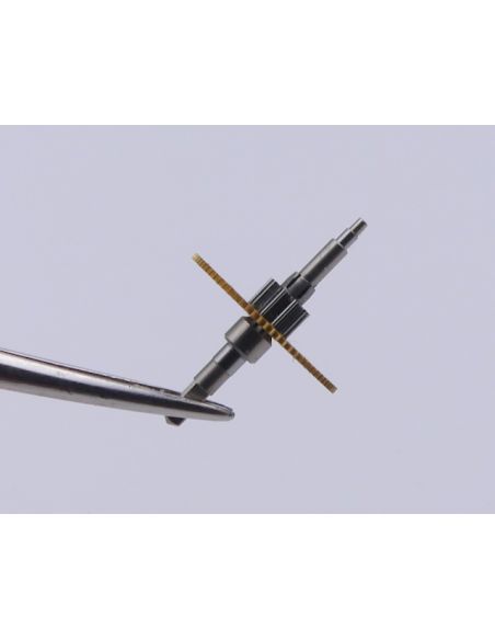 Jaeger-Lecoultre 222 - 206/1 Grande moyenne percée - Large driving wheel and pinion