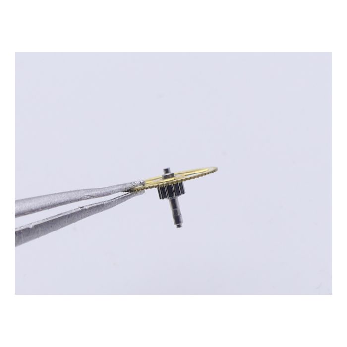 Zenith 135 - 200/1 Grande moyenne - Large driving wheel