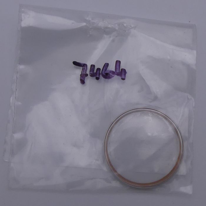 Oris 7464 verre - glass