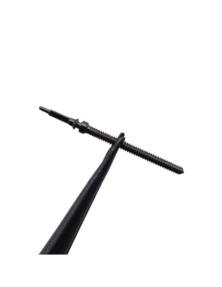 INT 69-21 - 401 tige - stem