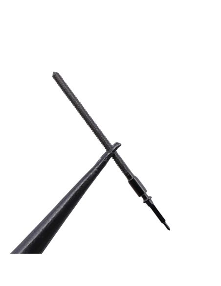 Zaria 2008 - 401 tige - stem