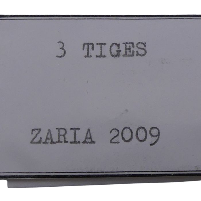 Zaria 2009 - 401 tige - stem