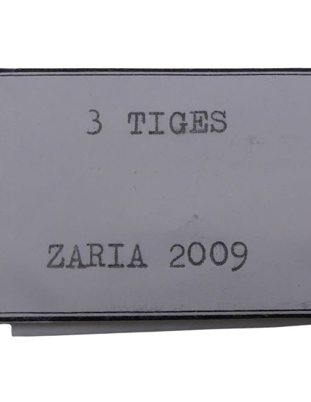 Zaria 2009 - 401 tige - stem