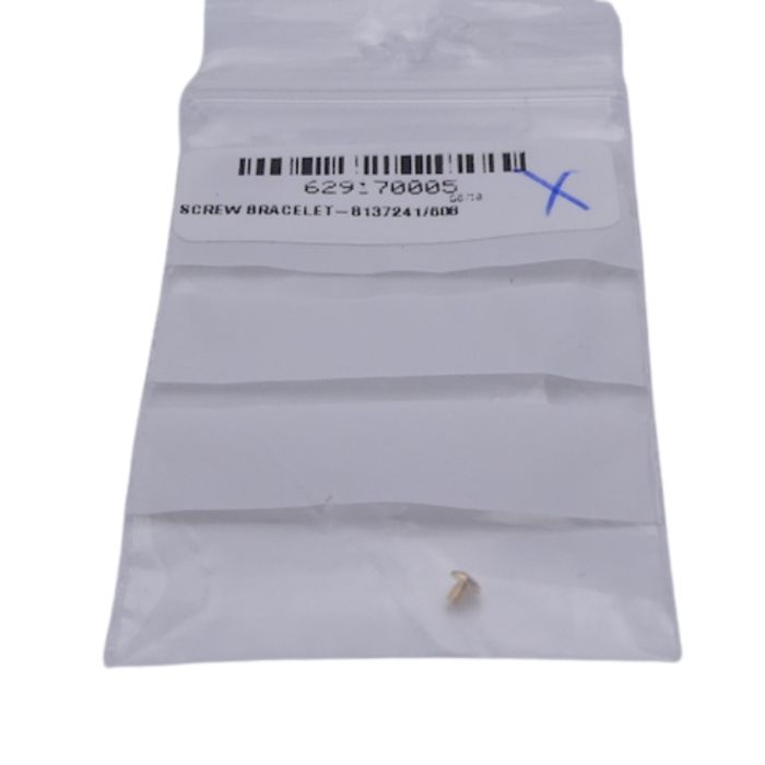 Ebel Lady Vis de bracelet OR - Screw for strap - 8137241/608