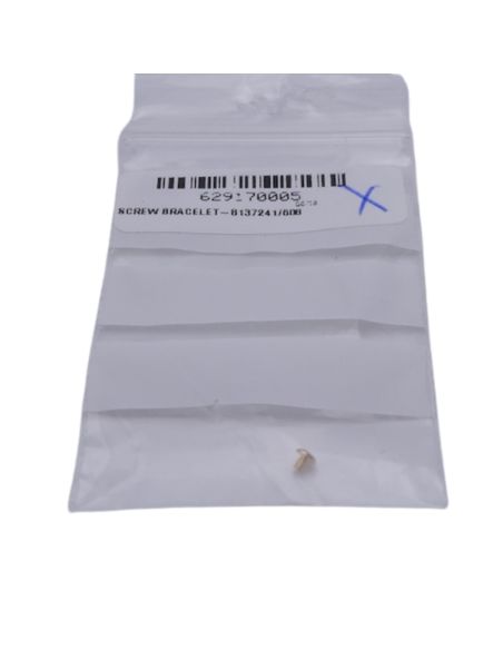 Ebel Lady Vis de bracelet OR - Screw for strap - 8137241/608