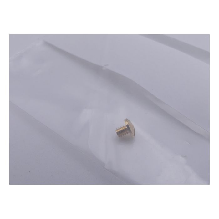 Ebel Lady Vis de bracelet OR - Screw for strap - 8137241/608