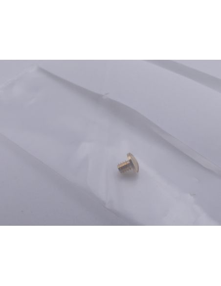 Ebel Lady Vis de bracelet OR - Screw for strap - 8137241/608