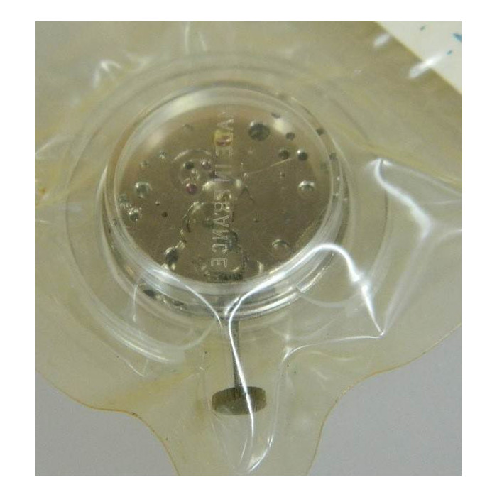 Yemargon mouvement FE 140