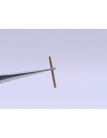 Zenith 50 0213 298vis de Maillon - link screw