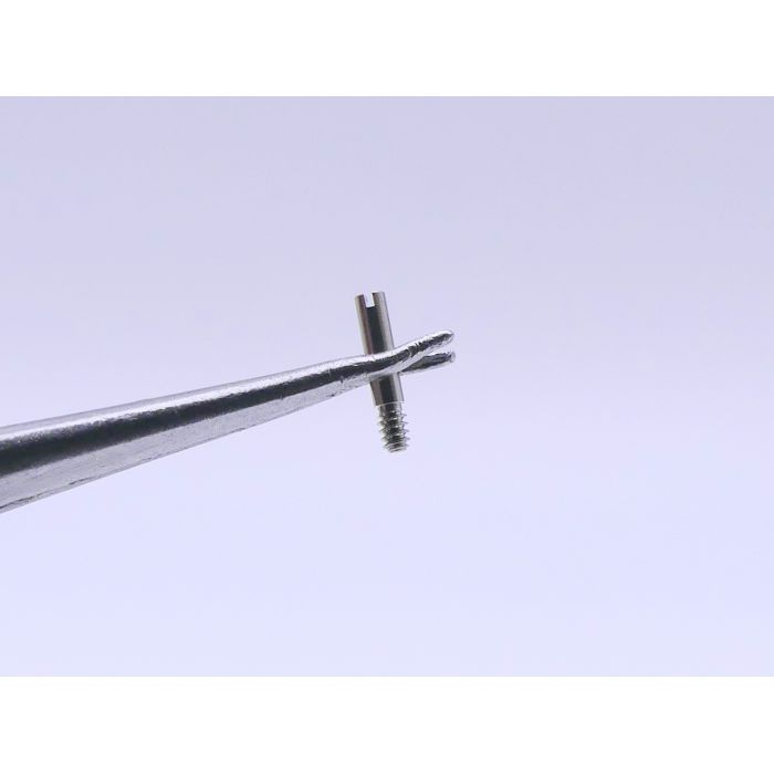 Zenith 01 6000 226 vis de Maillon - link screw