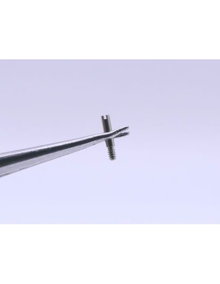 Zenith 01 6000 226 vis de Maillon - link screw