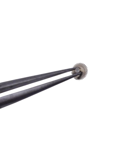 HP 6060 - 250 Roue des heures (à l'unité) - Hour wheel (per unit)