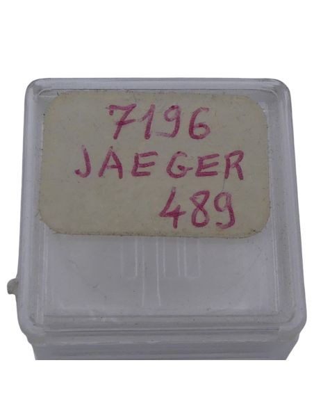Jaeger LeCoultre 489 - 7196 Arbre de barillet de sonnerie (à l'unité) - Alarm barrel arbor (per unit)
