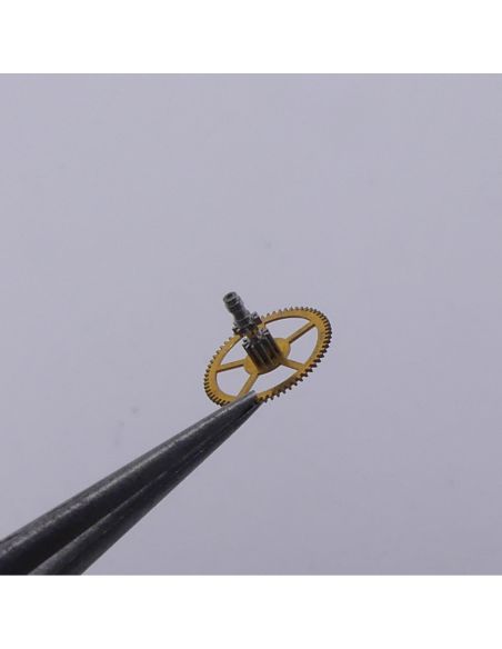 Jaeger LeCoultre 493 - 205 Roue de centre percée avec chaussée (à l'unité) - Center wheel and pinion drilled with cannon pinion 