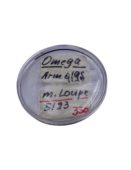 Omega 166035 Verre - Glass -PZ5123L