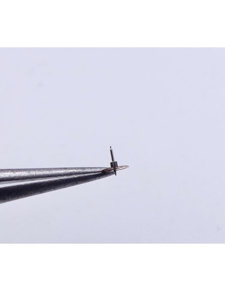 copy ofOmega 1300-9078 indicateur de quantième