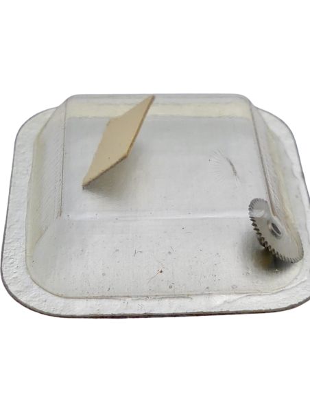 Certina 25-651 - 250 Roue des heures (à l'unité) - Hour wheel (per unit) - Ht: 165