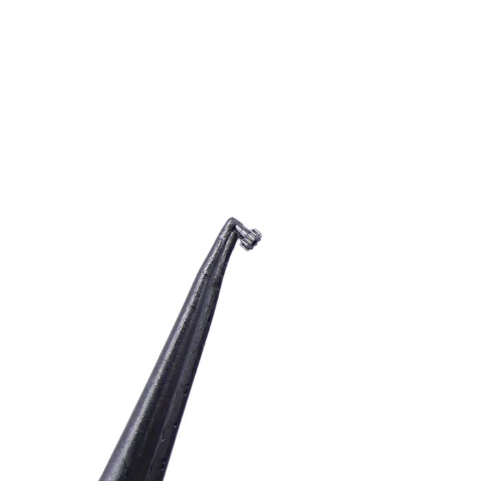 Tissot 17-5 - 240 Chaussée lanternée (à l'unité) - Cannon pinon with clam notch (per unit)