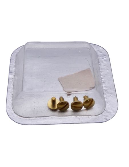 Ebel Sportwave Vis de lunette OR - Bezel screws - 6120631