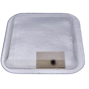 Rolex 2030 - 4444 Pignon baladeur - Wig-wag pinion