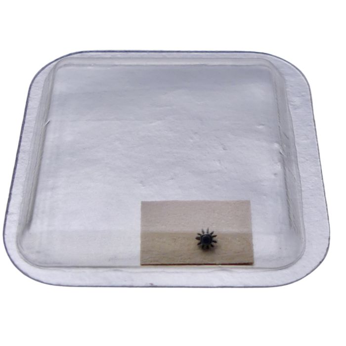 Rolex 2030 - 4444 Pignon baladeur - Wig-wag pinion