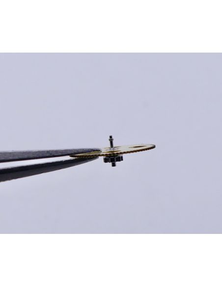 Rolex 3135 - 510 Roue entraîneuse de rochet - Driving wheel for ratchet wheel