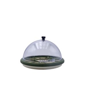 Plateau à cloche - Watch part dust cover - Beige/Vert