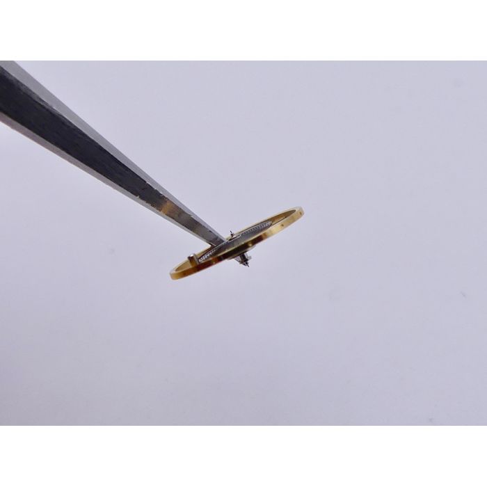 Frederic Piguet 1150 - 40.050 Balancier - Timed balance